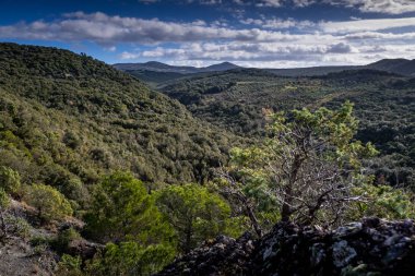 Castellina Marittima yürüyüşü - Pisa, Toskana, İtalya