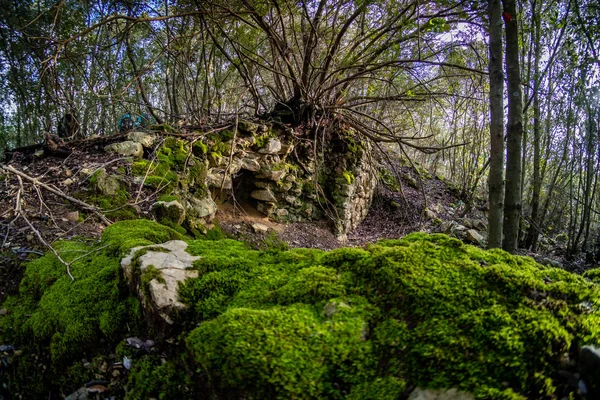 Castellina Marittima trekking - Пиза, Тоскана, Италия — стоковое фото