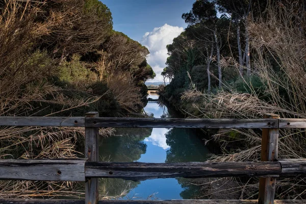 Marina di Cecina, Leghorn - Toscana, Itália — Fotografia de Stock