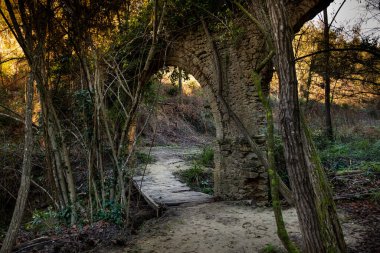 Montescudaio, Pisa - Toskana, İtalya