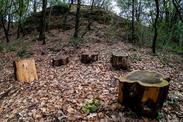 Montescudaio, Piza - Toskania, Włochy — Zdjęcie stockowe