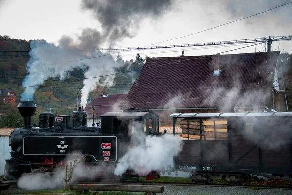 Viseus Sus Romania October 2014 Mocanita Steam Locomotive Fueled Wood — Stock Photo, Image