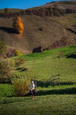 BUDESTI, ROMANIA - 10 Ekim 2014: Bilinmeyen kadın Maramures 'da çalışıyor, hayatın ritmini belirlemek için doğadır ve her şey hala toprağa bağlıdır. Samanlıklarla dolu bir manzara. Romanya, Avrupa
