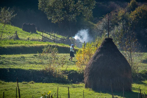 Budesti Roumanie Octobre 2014 Une Femme Inconnue Travaille Sur Terrain — Photo