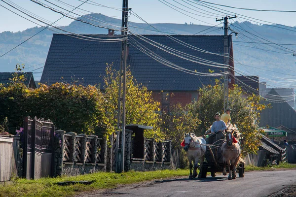 Maramue Romania Ottobre 2014 Persone Sconosciute Lavorano Con Carri Cavalli — Foto Stock