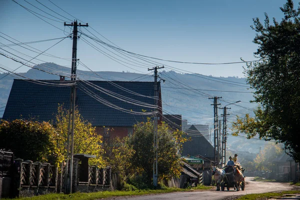 Maramue Romania Ottobre 2014 Persone Sconosciute Lavorano Con Carri Cavalli — Foto Stock