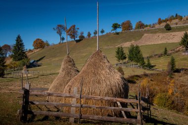 Romanya 'nın ıssız Karpatlar bölgesi olan Maramures, hayatın ritmini belirleyen doğadır ve her şey hala toprağa bağlıdır. Samanlıklarla dolu bir manzara. Romanya, Avrupa