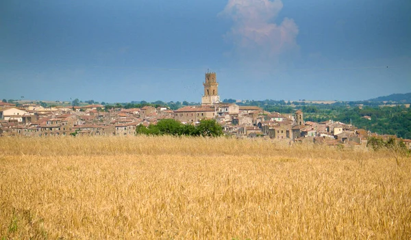 Επαρχία Pitigliano Του Grosseto Χαρακτηριστικό Ιστορικό Κέντρο Είναι Γνωστό Μικρή — Φωτογραφία Αρχείου