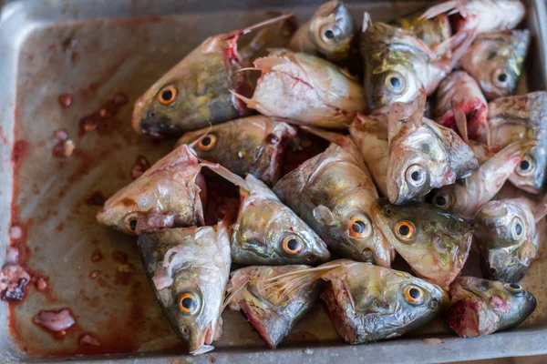 Heads of fish in a cup, carp fish heads for fish soup.
