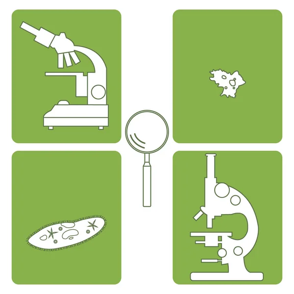 Стилізовані значки мікроскопів, збільшувача, амеби, циліндричного сліппа — стоковий вектор