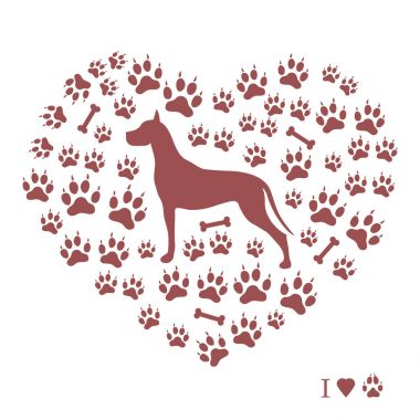 Danua siluet köpek tra bir arka plan üzerinde güzel resim