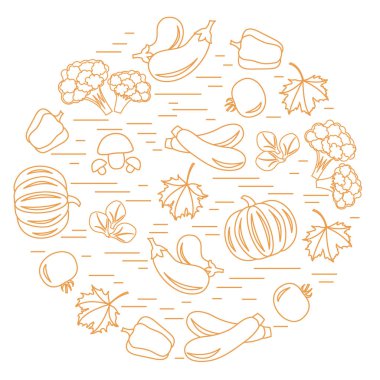 Daire içinde sonbahar mevsim sebzeleri kümesi. Domates, biber, zuc