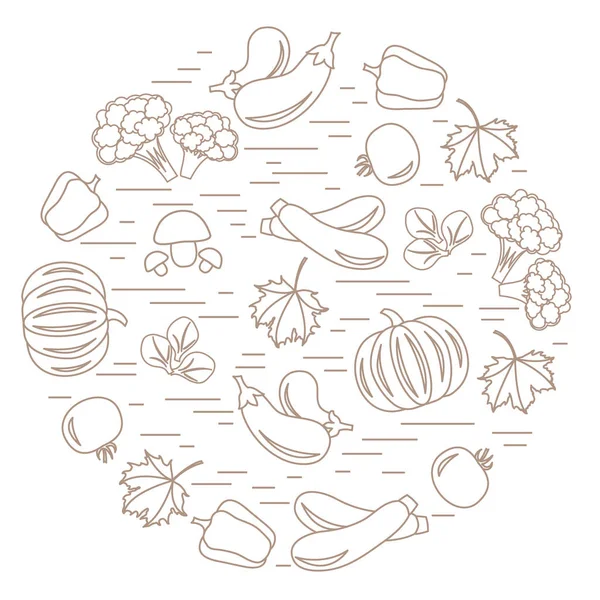 Daire içinde sonbahar mevsim sebzeleri kümesi. Domates, biber, zuc