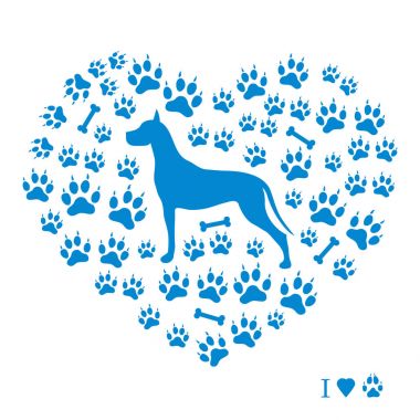 Danua siluet köpek tra bir arka plan üzerinde güzel resim