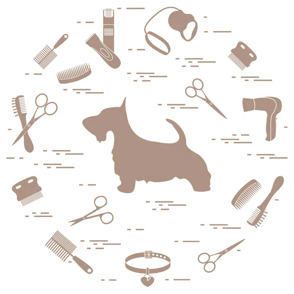 Silueta de terrier escocés, peines, cuello, correa, navaja de afeitar, cabello seco — Vector de stock