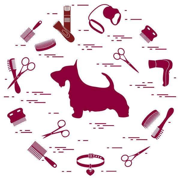 Scotch terrier silhouette, combs, collar, leash, razor, hair dry — Stock Vector