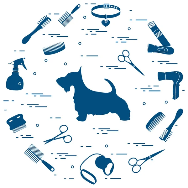 Scotch terrier silhouette, combs, collar, leash, razor, hair dry — Stock Vector