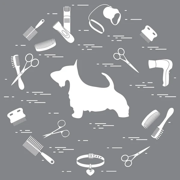 Silhouette de Scotch terrier, peignes, collier, laisse, rasoir, sèche cheveux — Image vectorielle