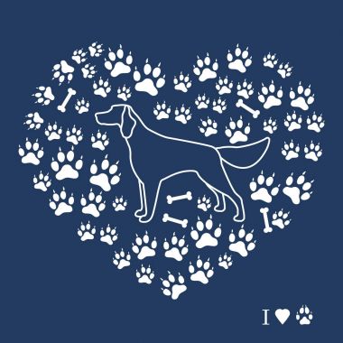 Setter siluet köpek parça ve f kemiklerde arka plan üzerinde