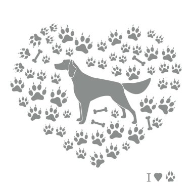 Setter siluet köpek parça ve f kemiklerde arka plan üzerinde