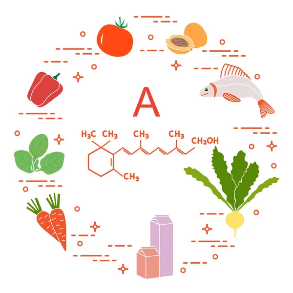 Alimentos Ricos Vitamina Tomate Albaricoque Pescado Nabos Leche Productos Lácteos — Vector de stock