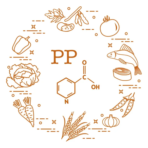 Alimentos ricos en vitamina PP . — Vector de stock