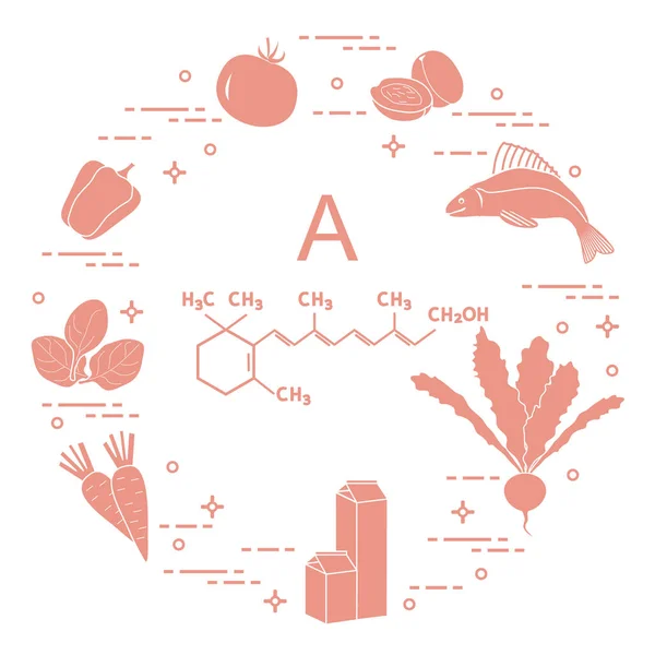 Voedingsmiddelen die rijk zijn aan vitamine A. — Stockvector