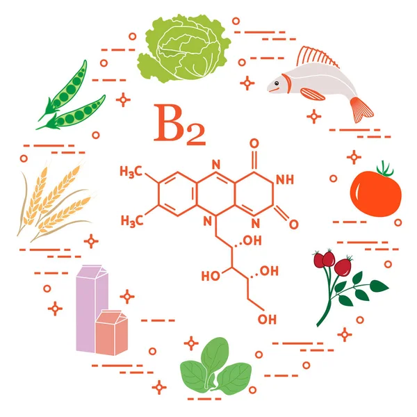 Voedingsmiddelen rijk aan vitamine B2. Vis, erwten en andere. — Stockvector