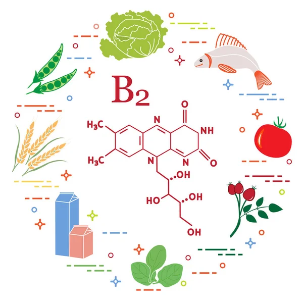 Alimentos ricos en vitamina B2. Pescado, guisantes y otros . — Vector de stock