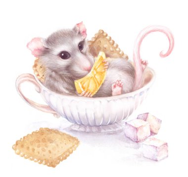watercolor illustration with a rat in a tea cup and cookies clipart