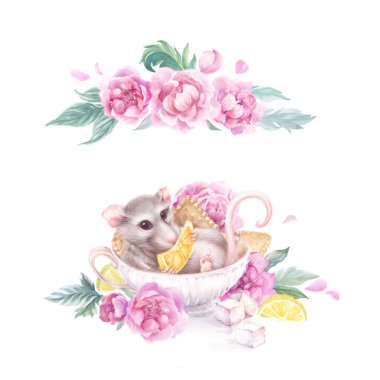 watercolor illustration with a rat in a tea cup with cookies and pink peonies