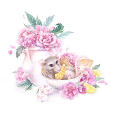 watercolor illustration with a rat in a tea cup, with a teapot and pink peonies