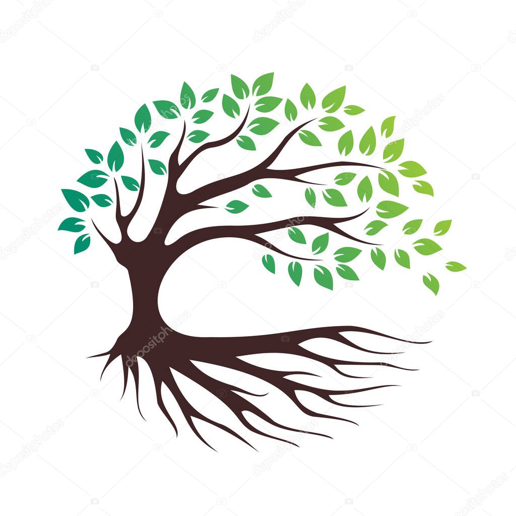 Green eco tree vector icon, bio logo, garden sign, forest symbol