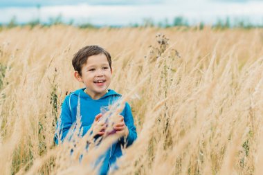 Kulakları Mısır sarı bir alan içinde bir çocuk toplar
