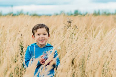 Kulakları Mısır sarı bir alan içinde bir çocuk toplar