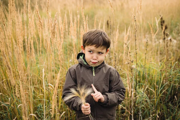 Çocuk biraz çim alanı boyunca yürüyüş. Çimen çocuk yayılır.