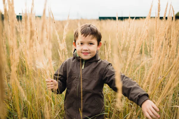 Çocuk biraz çim alanı boyunca yürüyüş. Çimen çocuk yayılır.