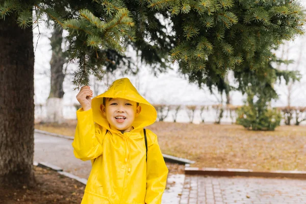 Joyeux garçon dans un manteau jaune avec une capuche tirant une branche d'un gr — Photo