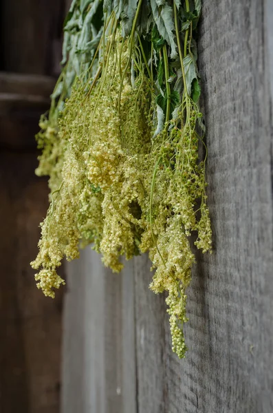 Bunches of dried herbs for herbal tea on old wooden gate background