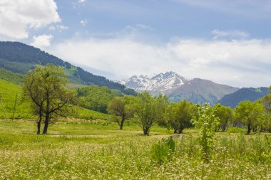 Kaskelen vadide Tien Shan mo dağlar peyzaj