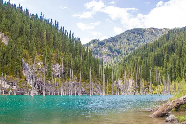 Kaindy bergmeer in Kazachstan — Stockfoto