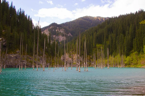 Kaindy bergmeer in Kazachstan — Stockfoto