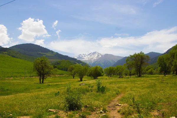 Panorama of the nature and mountains of the Kaskelen gorge in Al — Stock Photo, Image