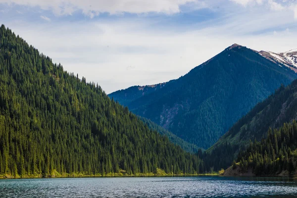 Kolsay sjö i tien shan berget system, Kazakstan — Stockfoto