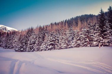 Kazakistan'ın Almatı şehri yakınındaki dağ kış manzarası