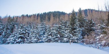 Kazakistan'ın Almatı şehri yakınındaki dağ kış manzarası