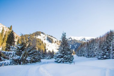 Kazakistan'ın Almatı şehri yakınındaki dağ kış manzarası