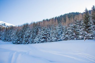 Kazakistan'ın Almatı şehri yakınındaki dağ kış manzarası