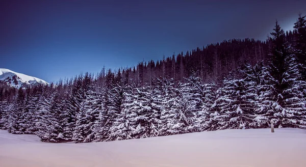 Montanha paisagem de inverno no Cazaquistão perto da cidade de Almaty — Fotografia de Stock