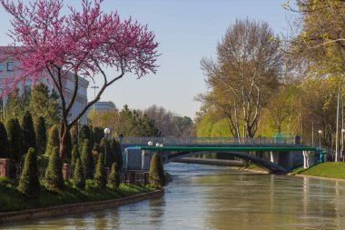 Taşkent, Özbekistan, merkezinde Nehri Köprüsü.